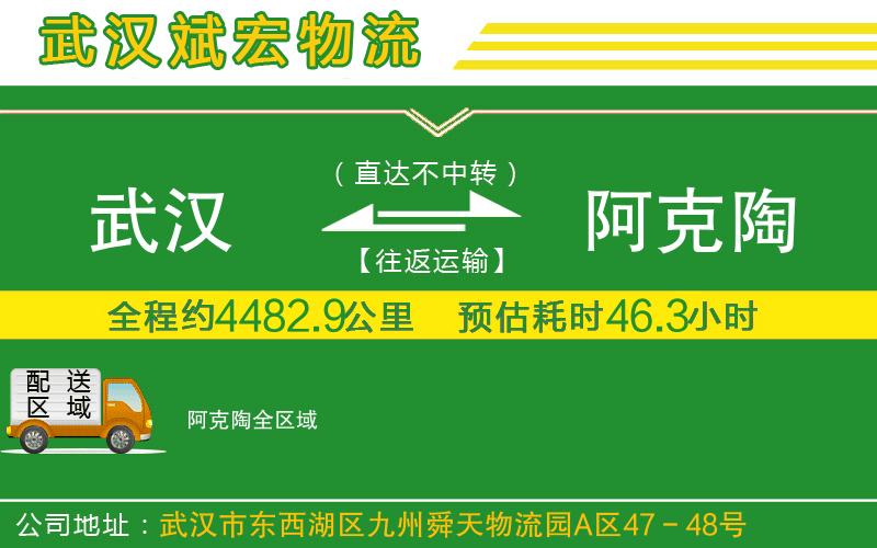 武漢到阿克陶物流公司