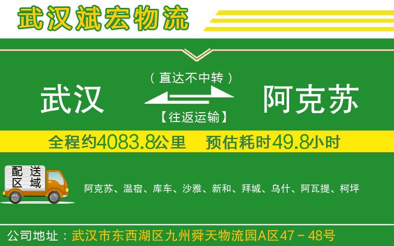 武漢到阿克蘇貨運(yùn)專(zhuān)線