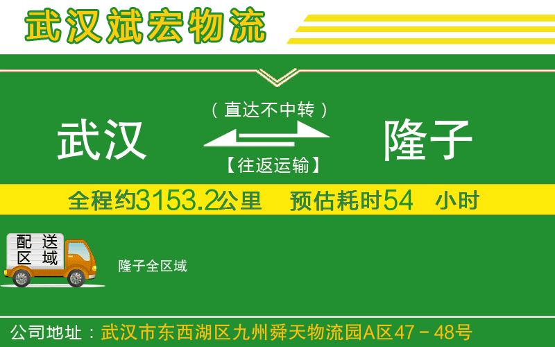 武漢到隆子貨運(yùn)公司
