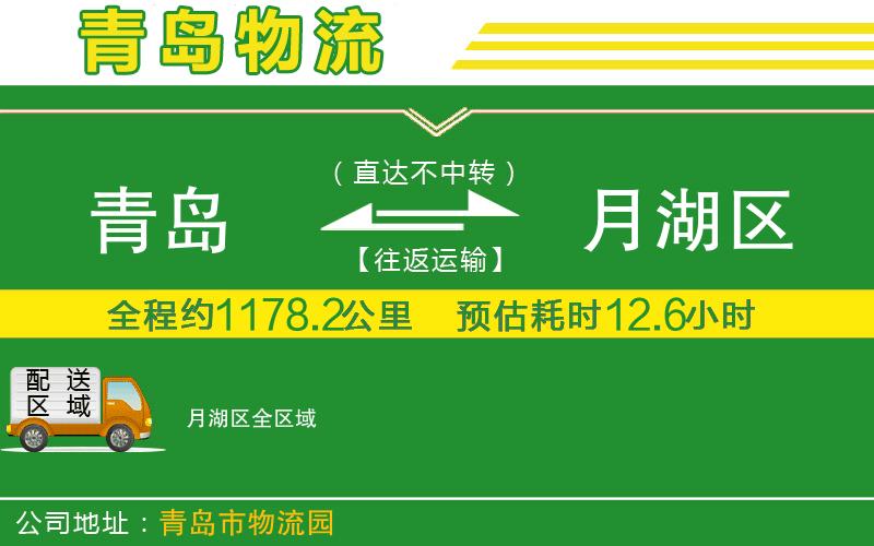 青島到月湖區(qū)物流公司