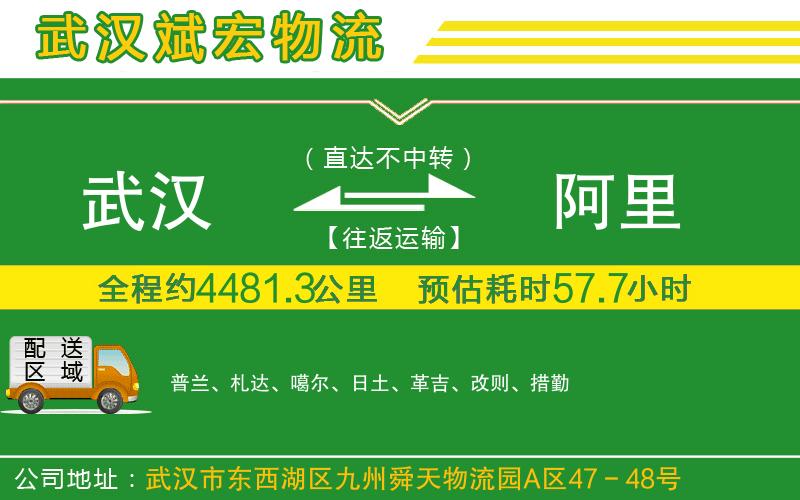 武漢到阿里貨運專線
