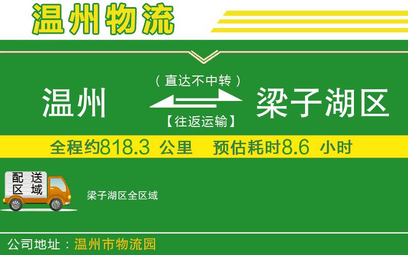 溫州到梁子湖區(qū)貨運(yùn)公司