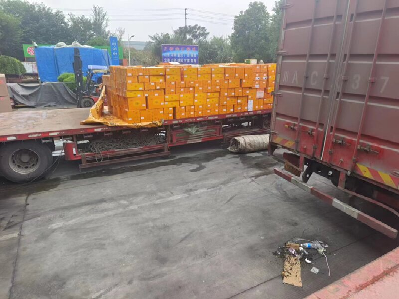 青島到措美貨運(yùn)公司